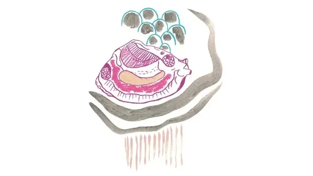 O Programa de Residência Artística Escutar o Paraguassu, abre seleção regional para Residência artística em Cachoeira