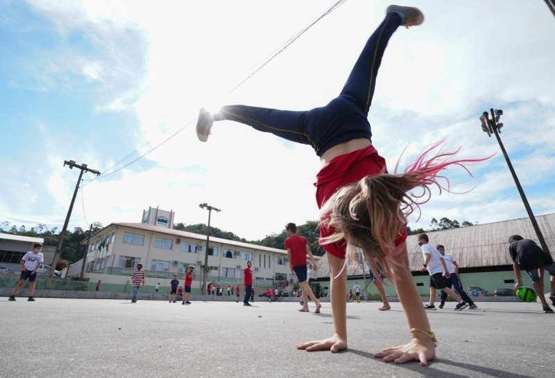 Balanço de Gestão: investimentos do ensino infantil até a graduação e parceria com municípios marcaram a educação catarinense