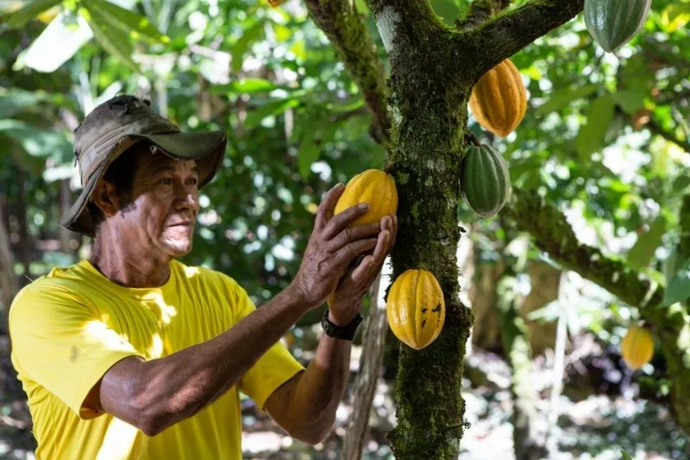 Cruz das Almas: Adab promove primeiro Curso de Emergência Fitossanitária